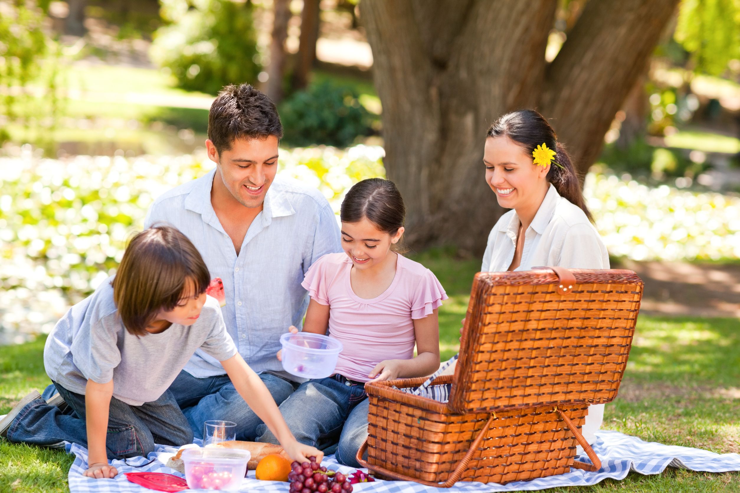 How to Celebrate National Picnic Month