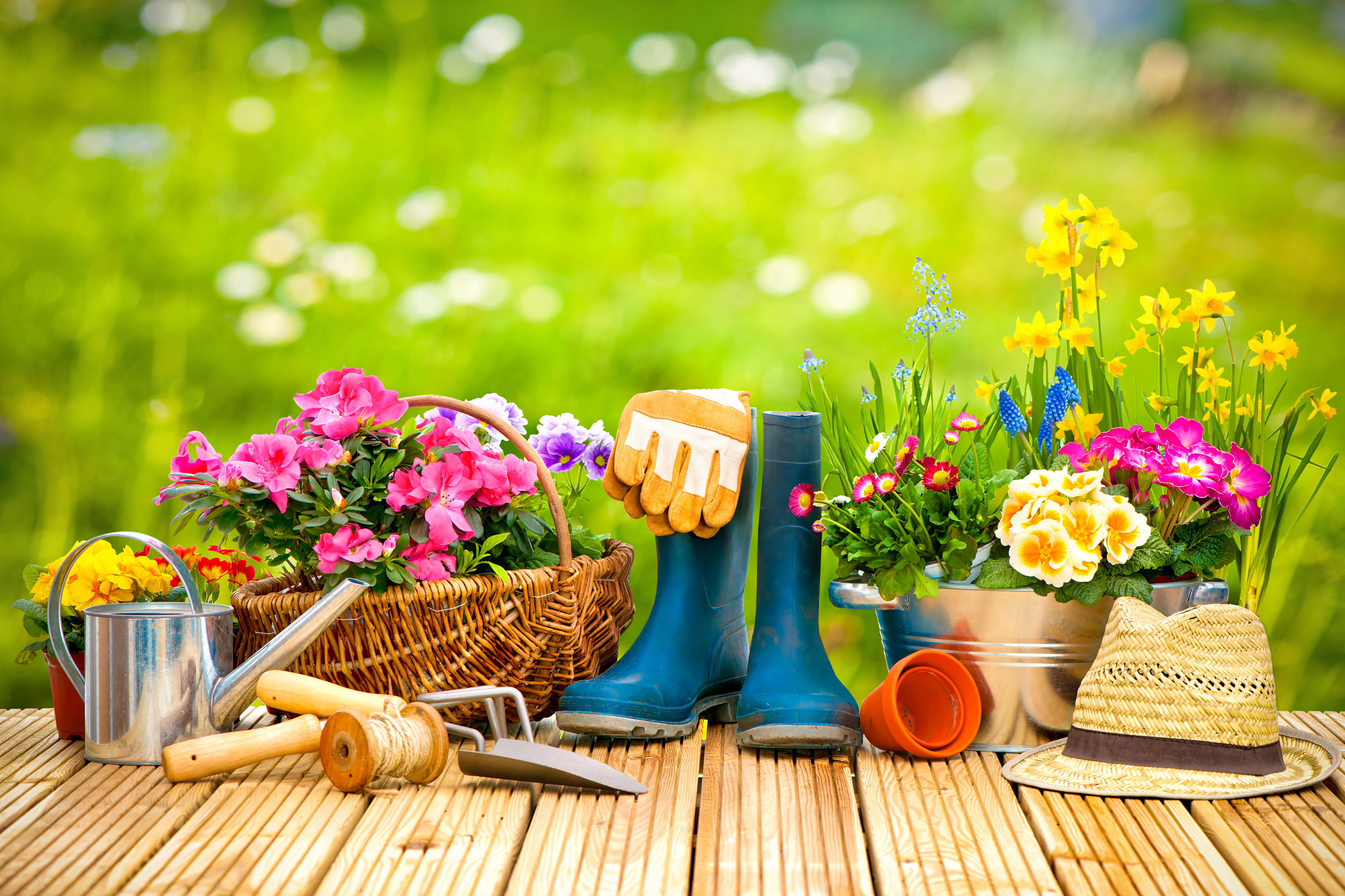 How to Start a Garden for Spring